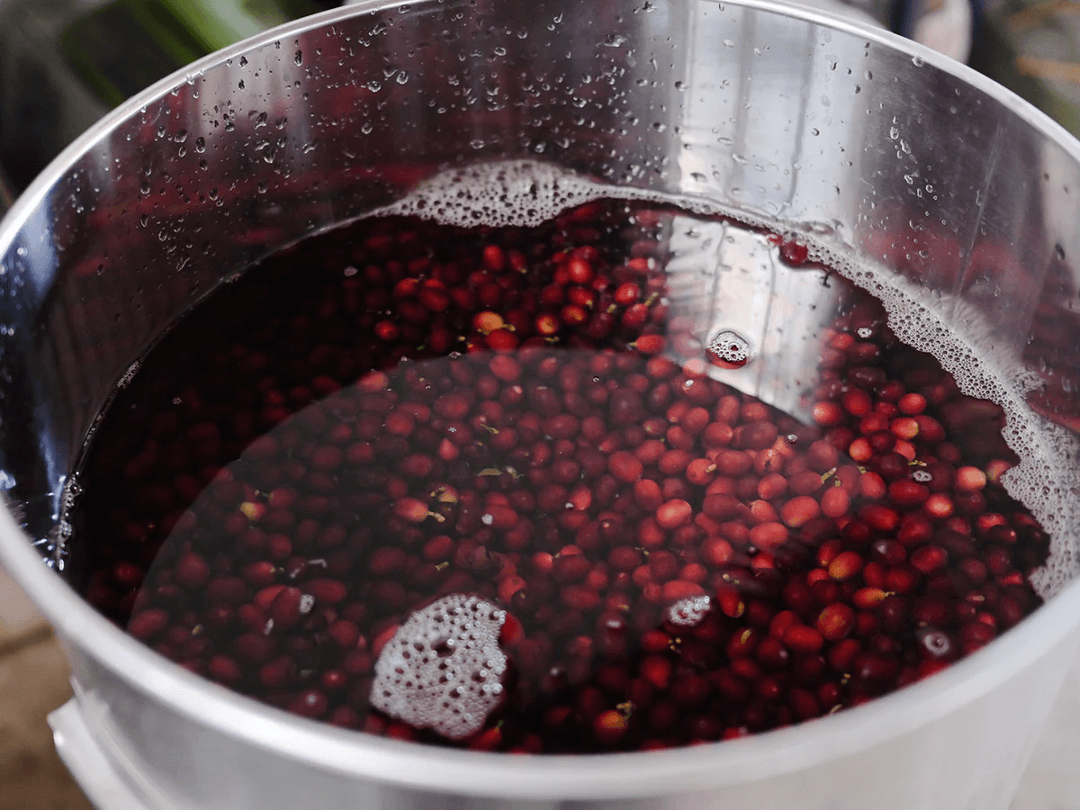 BAOSHAN Wine Yeast Fermatation Natural