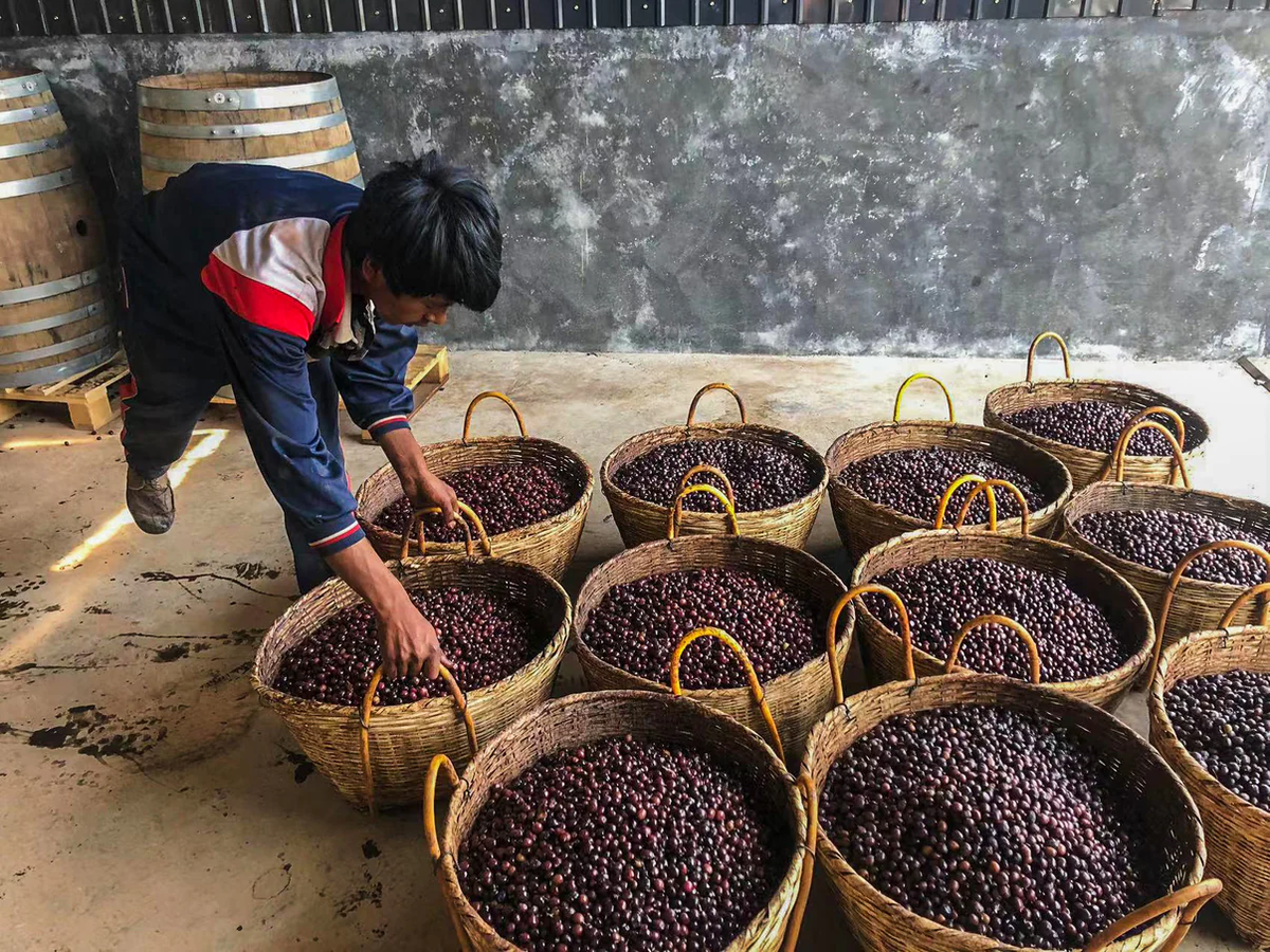MENGLIAN Anaerobic Fermentation Natural with Oak Barrel